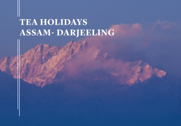 Tea Holidays Assam - Darjeeling