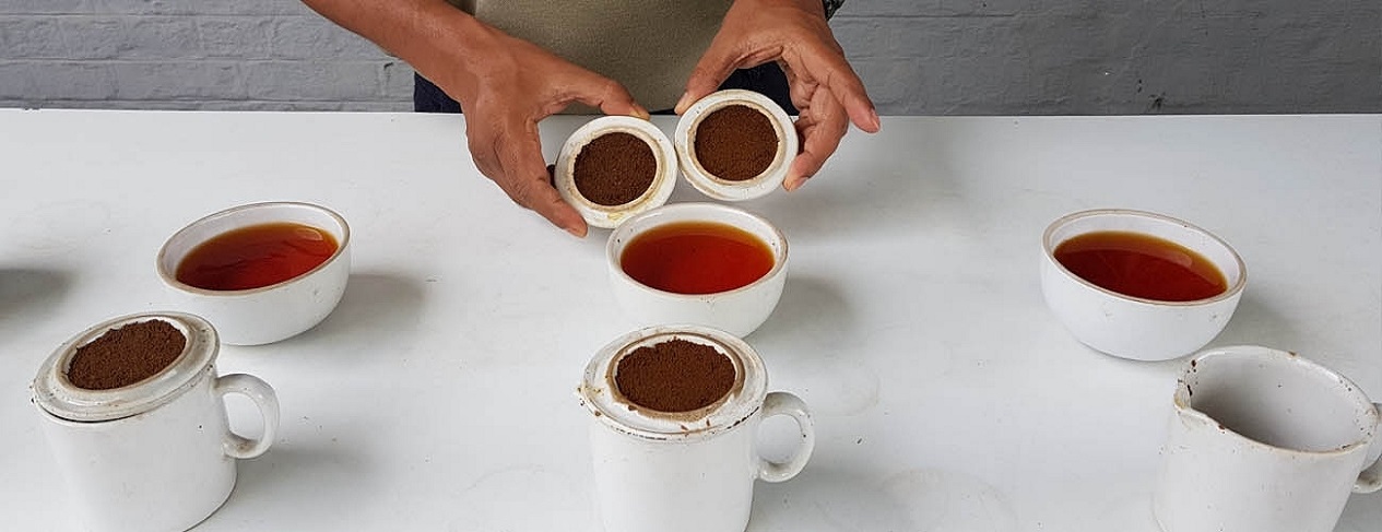 Tea Bungalows in Assam